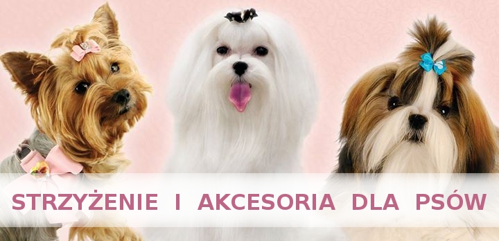 Profesjonalne Strzyżenie Psów Psi Fryzjer Salon Dla Psów